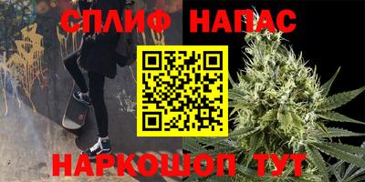 ГАЛЛЮЦИНОГЕННЫЕ ГРИБЫ Пугачёв