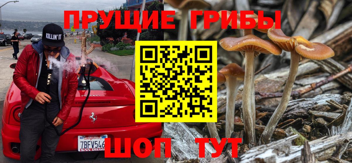 Галлюциногенные грибы ЛСД  Вход с VPN  Ртищево 